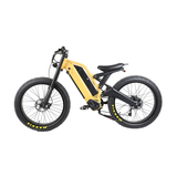 Long Ranged Electric Bicycle