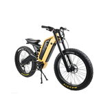 Long Ranged Electric Bicycle