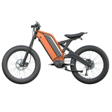 Long Ranged Electric Bicycle