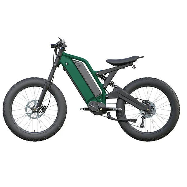 Long Ranged Electric Bicycle