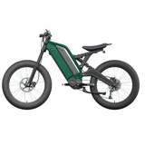 Long Ranged Electric Bicycle