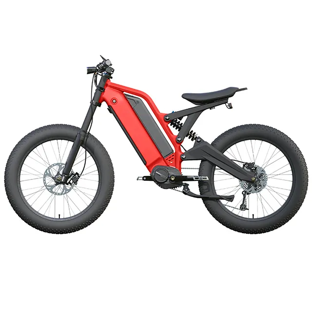 Long Ranged Electric Bicycle