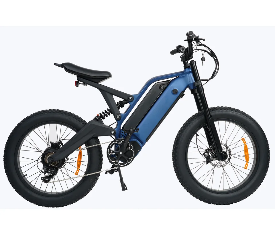 Long Ranged Electric Bicycle