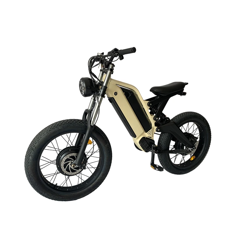 Long Ranged Electric Bicycle