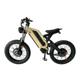 Long Ranged Electric Bicycle