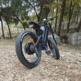 Long Ranged Electric Bicycle